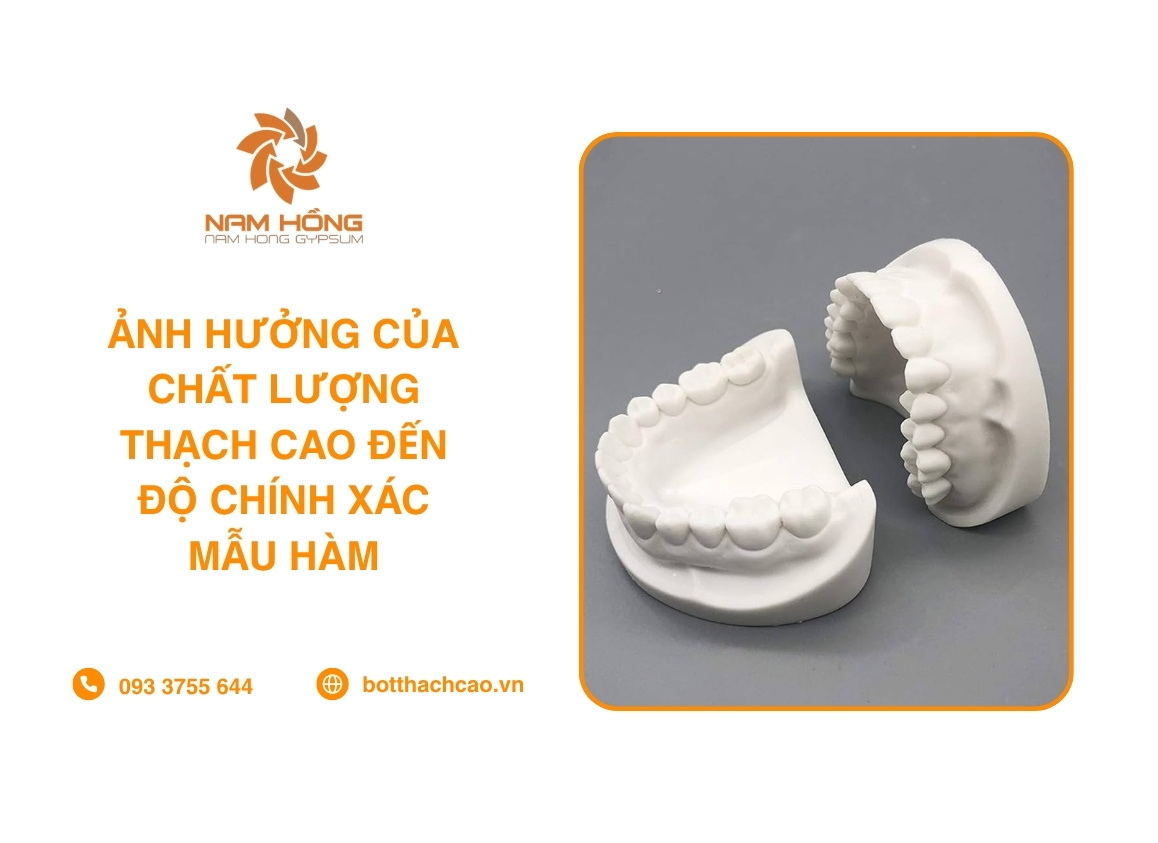 Ảnh Hưởng Của Chất Lượng Thạch Cao Đến Độ Chính Xác Mẫu Hàm