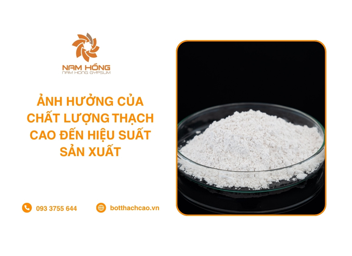 Ảnh Hưởng Của Chất Lượng Thạch Cao Đến Hiệu Suất Sản Xuất