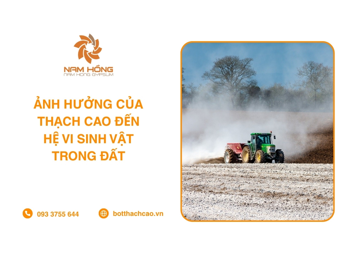 Ảnh Hưởng Của Thạch Cao Đến Hệ Vi Sinh Vật Trong Đất