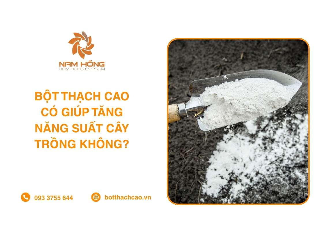 Bột Thạch Cao Có Giúp Tăng Năng Suất Cây Trồng Không?