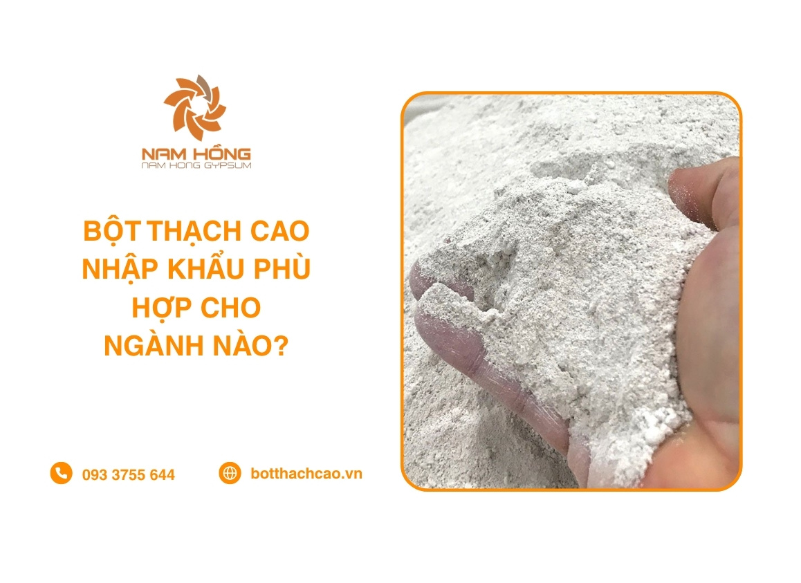 Bột Thạch Cao Nhập Khẩu Phù Hợp Cho Ngành Nào?