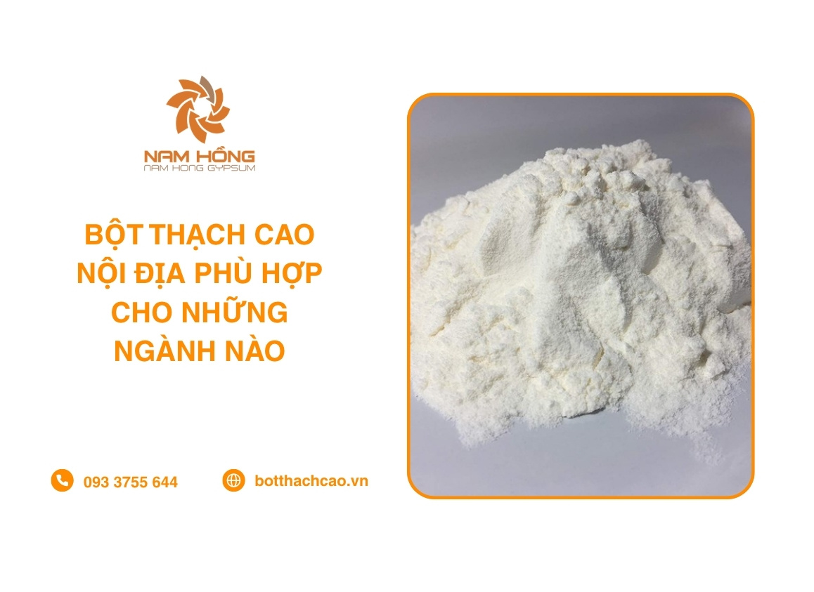 Bột Thạch Cao Nội Địa Phù Hợp Cho Những Ngành Nào