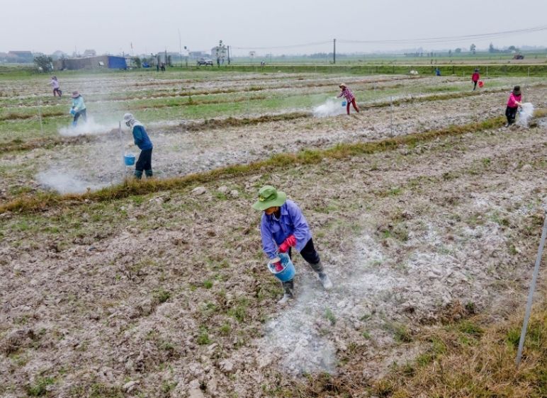 BỘT THẠCH CAO NÔNG NGHIỆP