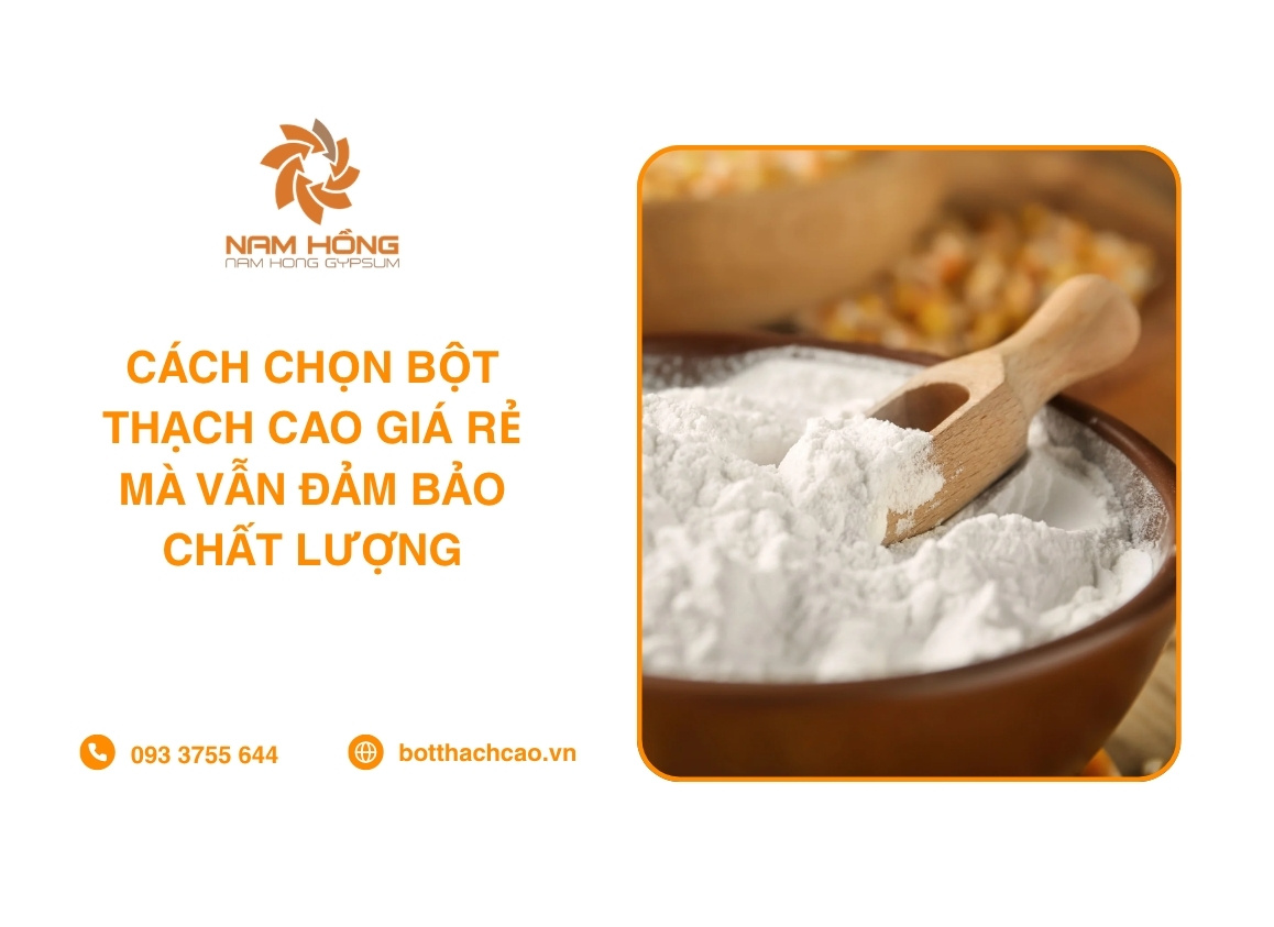 Cách Chọn Bột Thạch Cao Giá Rẻ Mà Vẫn Đảm Bảo Chất Lượng
