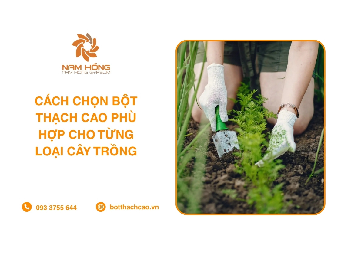 Cách Chọn Bột Thạch Cao Phù Hợp Cho Từng Loại Cây Trồng