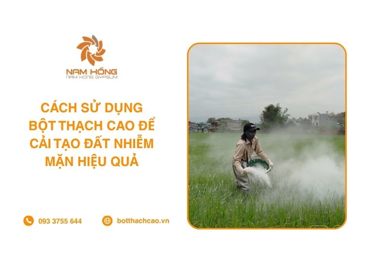 Cách Sử Dụng Bột Thạch Cao Để Cải Tạo Đất Nhiễm Mặn Hiệu Quả