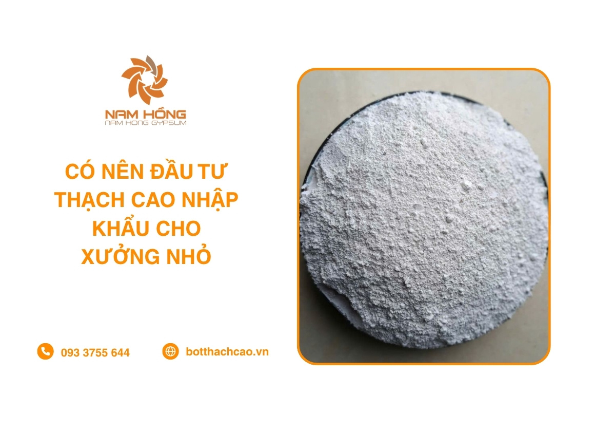 Có Nên Đầu Tư Thạch Cao Nhập Khẩu Cho Xưởng Nhỏ