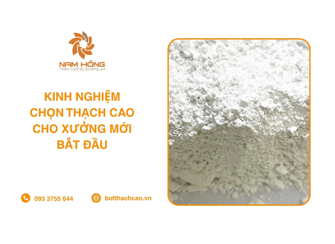 Kinh Nghiệm Chọn Thạch Cao Cho Xưởng Mới Bắt Đầu
