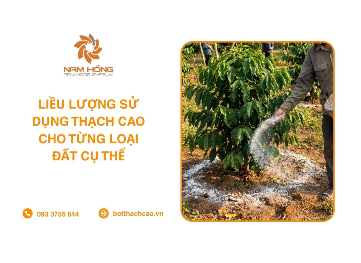 Liều Lượng Sử Dụng Thạch Cao Cho Từng Loại Đất Cụ Thể
