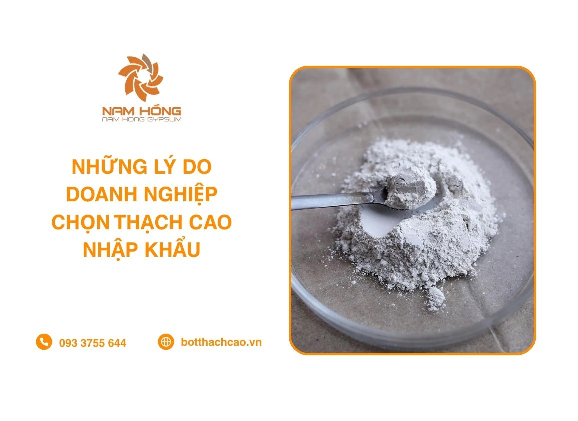 Những Lý Do Doanh Nghiệp Chọn Thạch Cao Nhập Khẩu