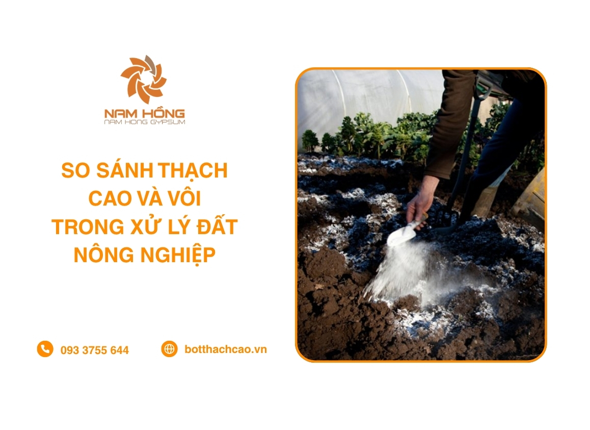 So Sánh Thạch Cao Và Vôi Trong Xử Lý Đất Nông Nghiệp