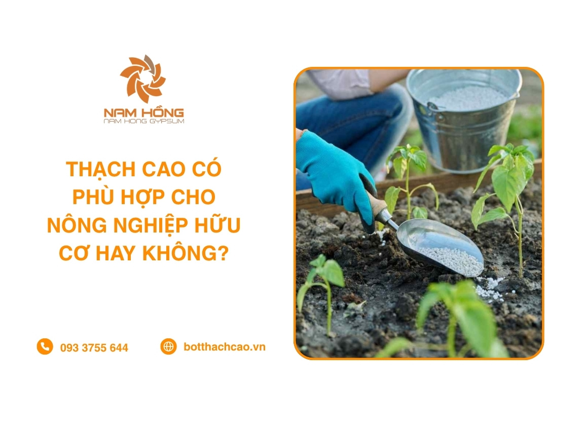 Thạch Cao Có Phù Hợp Cho Nông Nghiệp Hữu Cơ Hay Không?