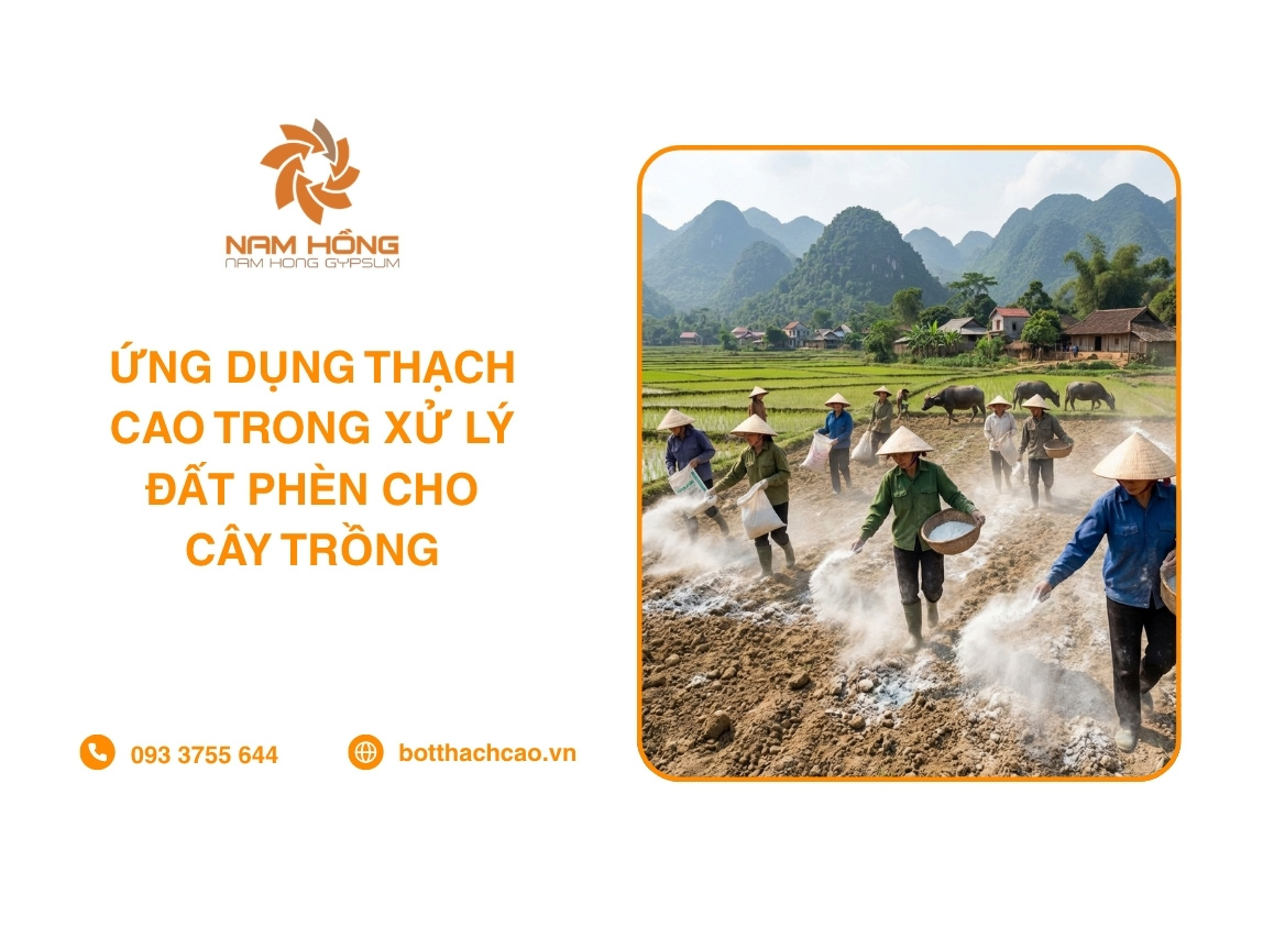 Ứng Dụng Thạch Cao Trong Xử Lý Đất Phèn Cho Cây Trồng