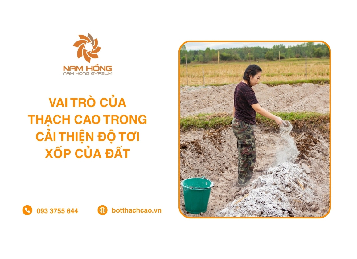 Vai Trò Của Thạch Cao Trong Cải Thiện Độ Tơi Xốp Của Đất