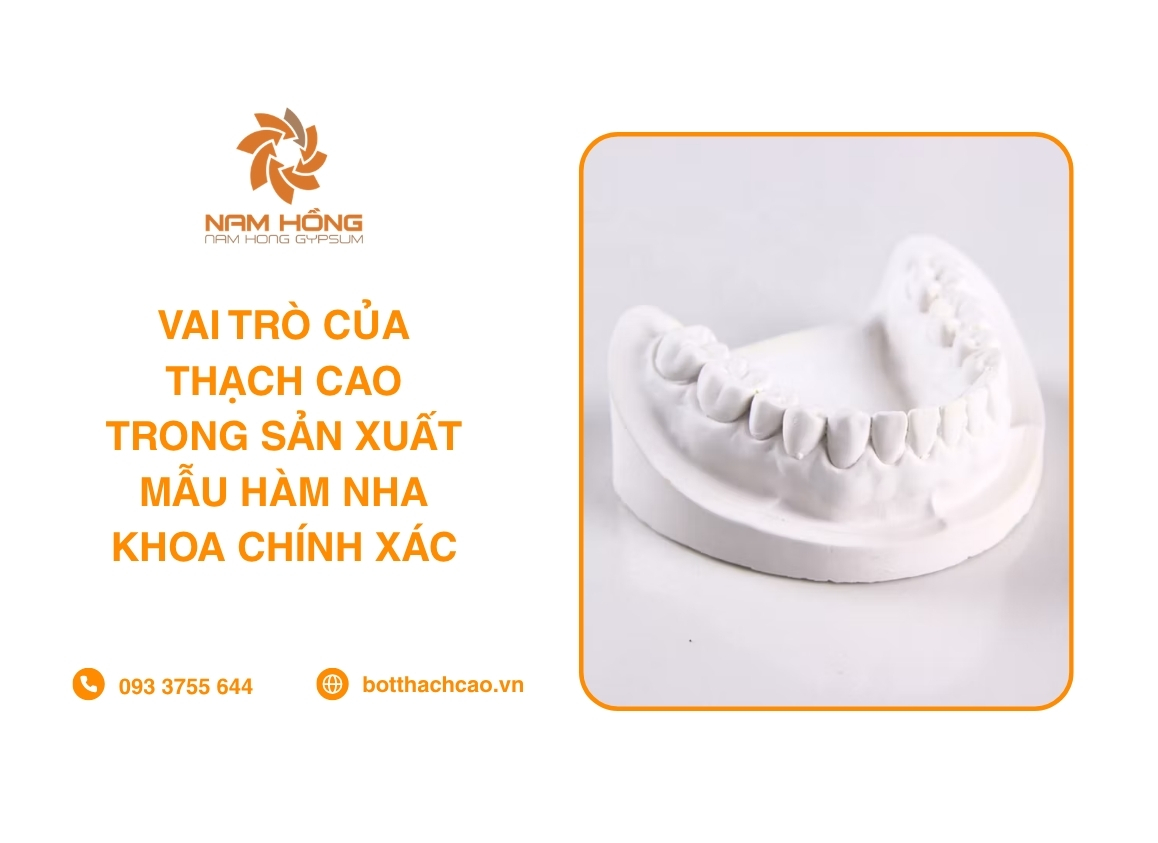 Vai Trò Của Thạch Cao Trong Sản Xuất Mẫu Hàm Nha Khoa Chính Xác