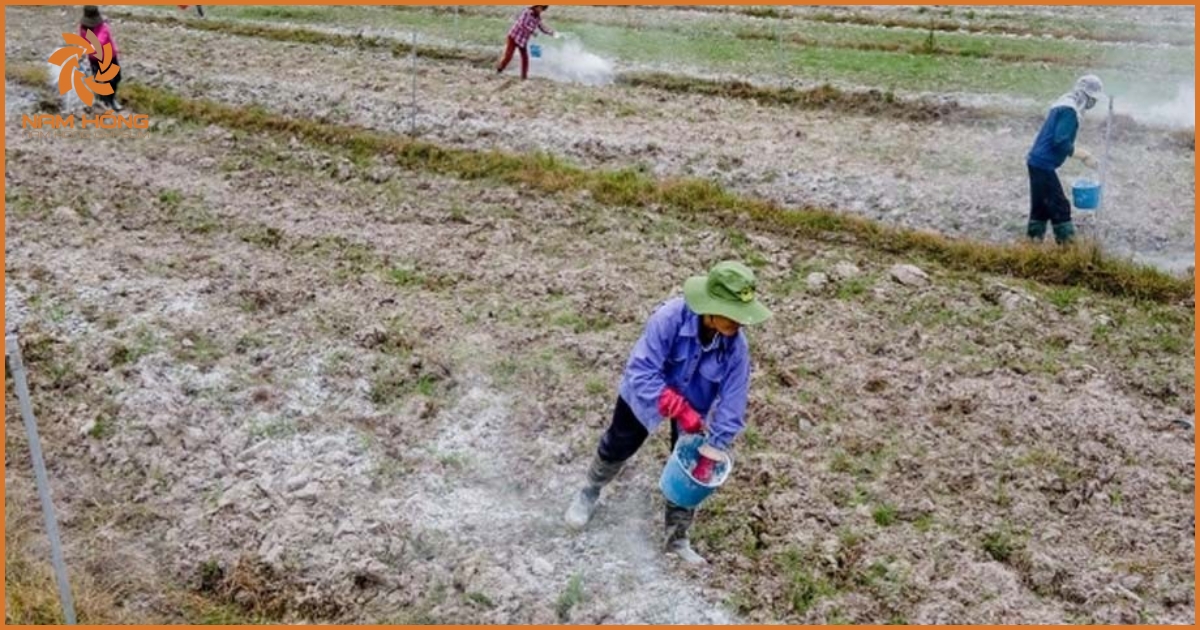 Cơ chế tác động của bột thạch cao đến độ tơi xốp của đất