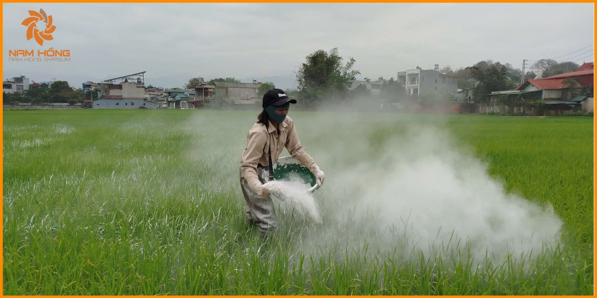 Cách sử dụng bột thạch cao để cải tạo đất nhiễm mặn hiệu quả