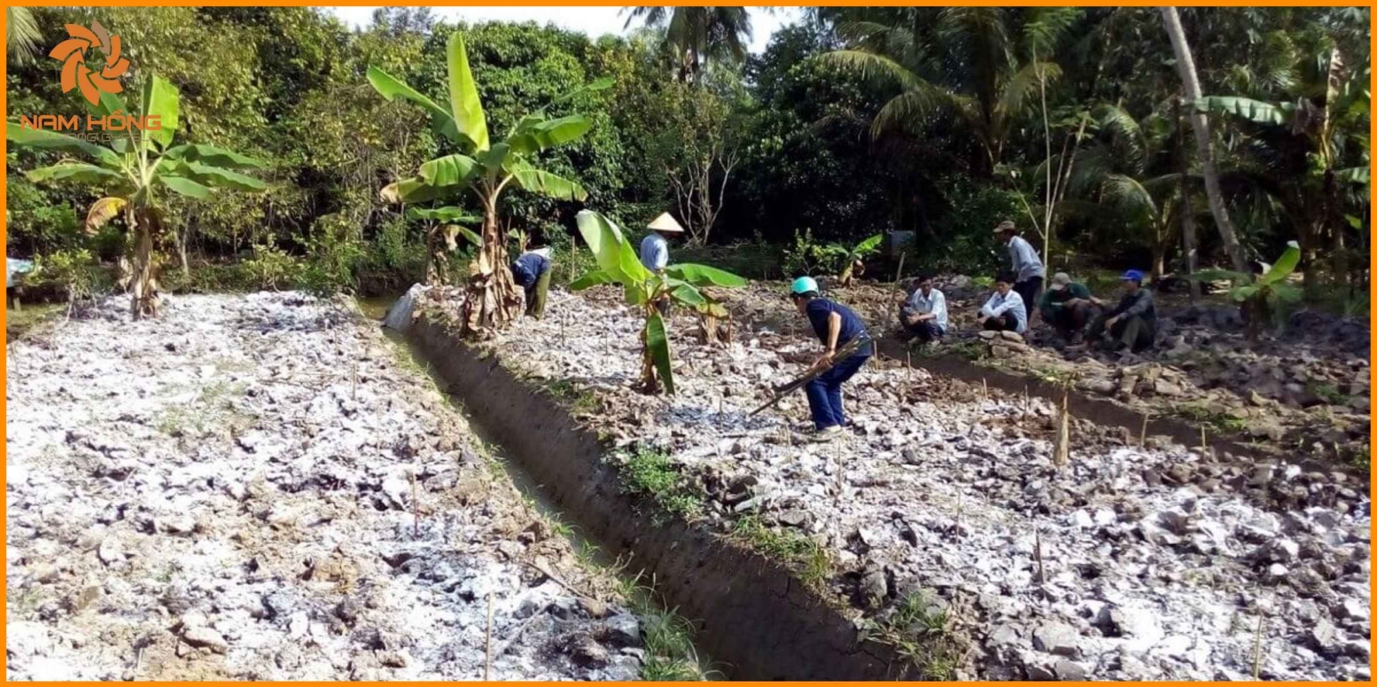 Đất nhiễm mặn là gì? Nguyên nhân hình thành