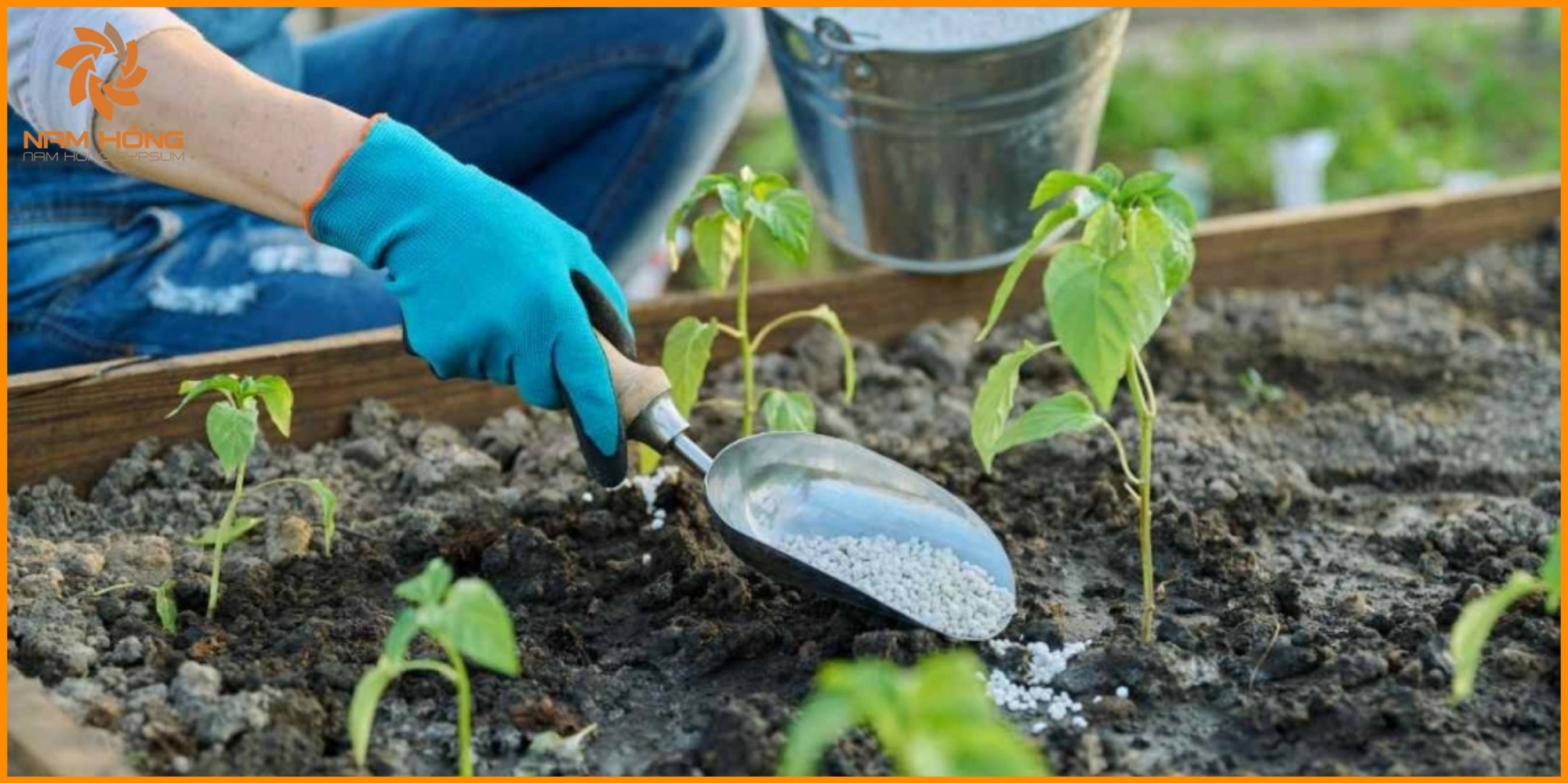 Lợi ích của thạch cao đối với đất và cây trồng trong canh tác hữu cơ