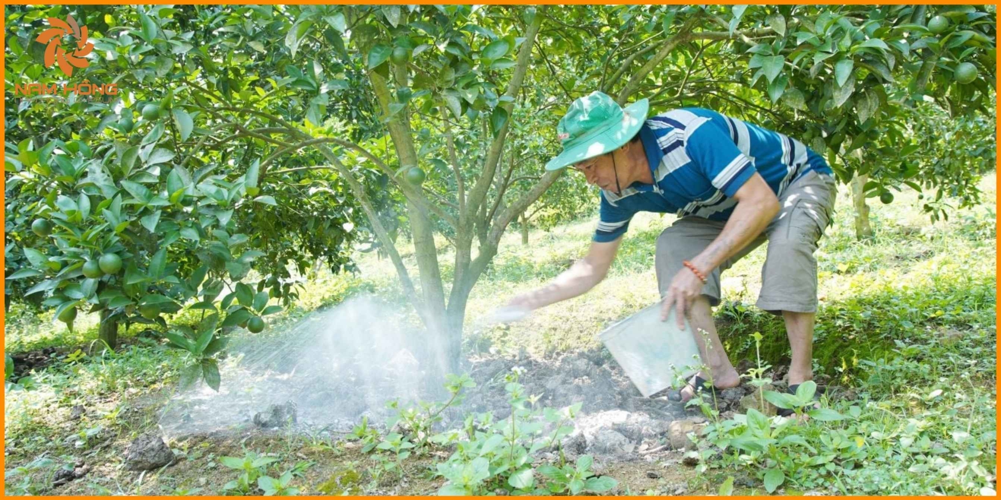Lưu ý quan trọng khi sử dụng thạch cao trong nông nghiệp