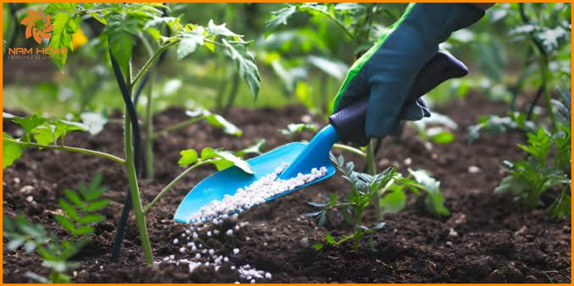 Những trường hợp nên sử dụng thạch cao trong nông nghiệp hữu cơ