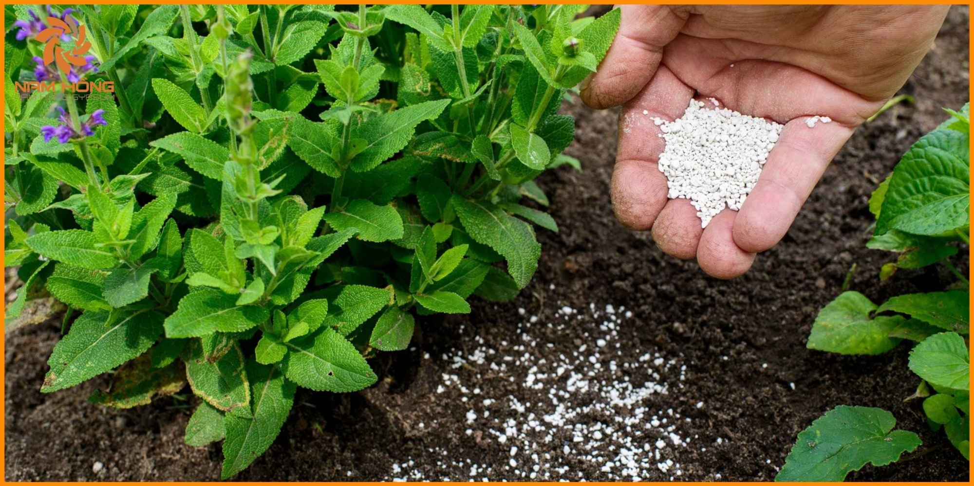 Sai lầm khi sử dụng thạch cao trong nông nghiệp