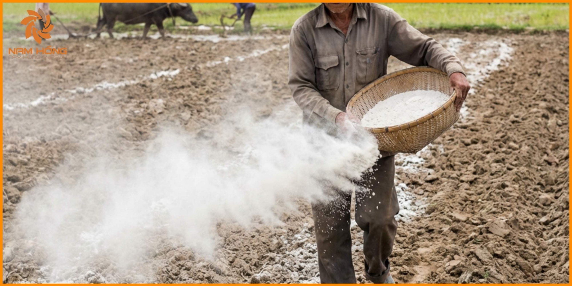 So sánh thạch cao và vôi trong xử lý đất nông nghiệp