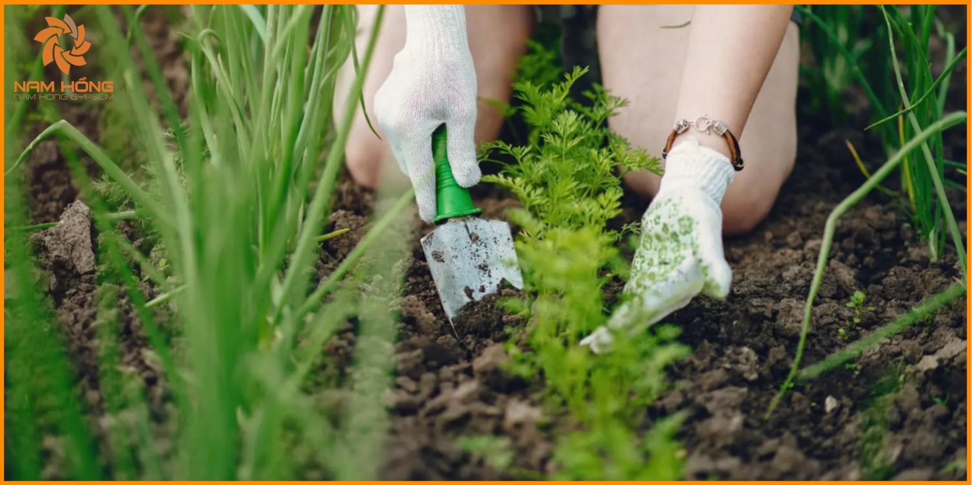 Thạch cao có phù hợp với nguyên tắc của nông nghiệp hữu cơ?