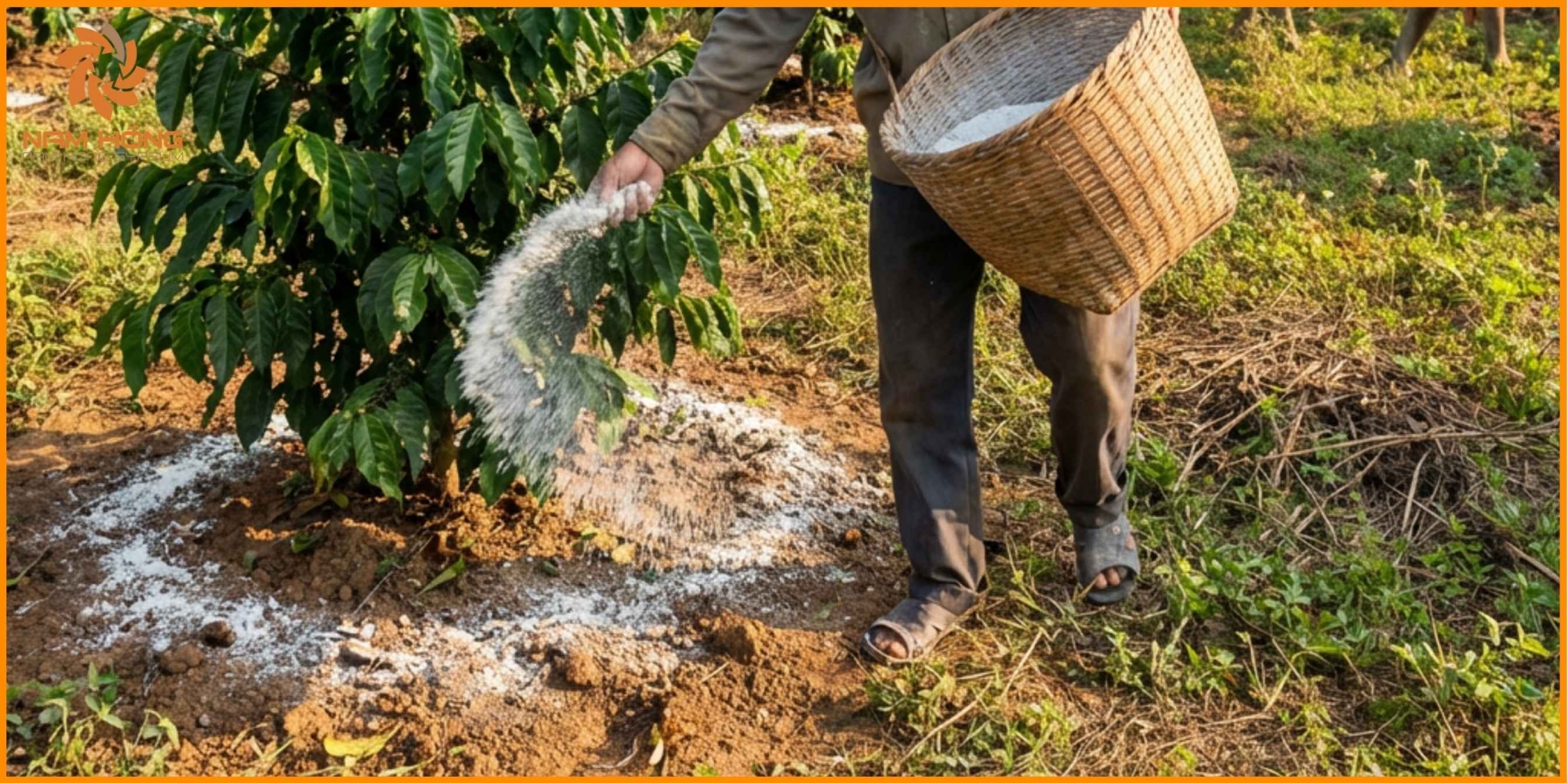 Thạch cao được sử dụng trong nông nghiệp để làm gì?
