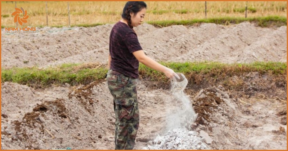 Vai trò của bột thạch cao trong nông nghiệp