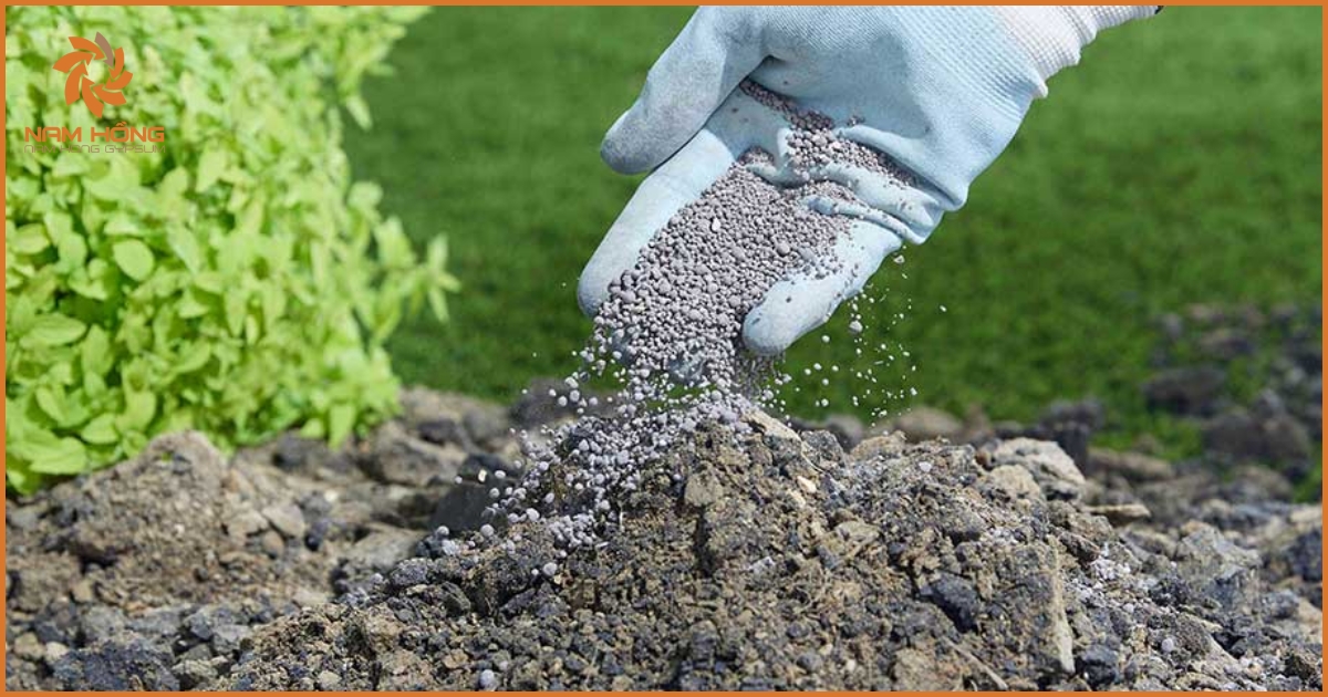 Ứng dụng bột thạch cao trong cải tạo đất