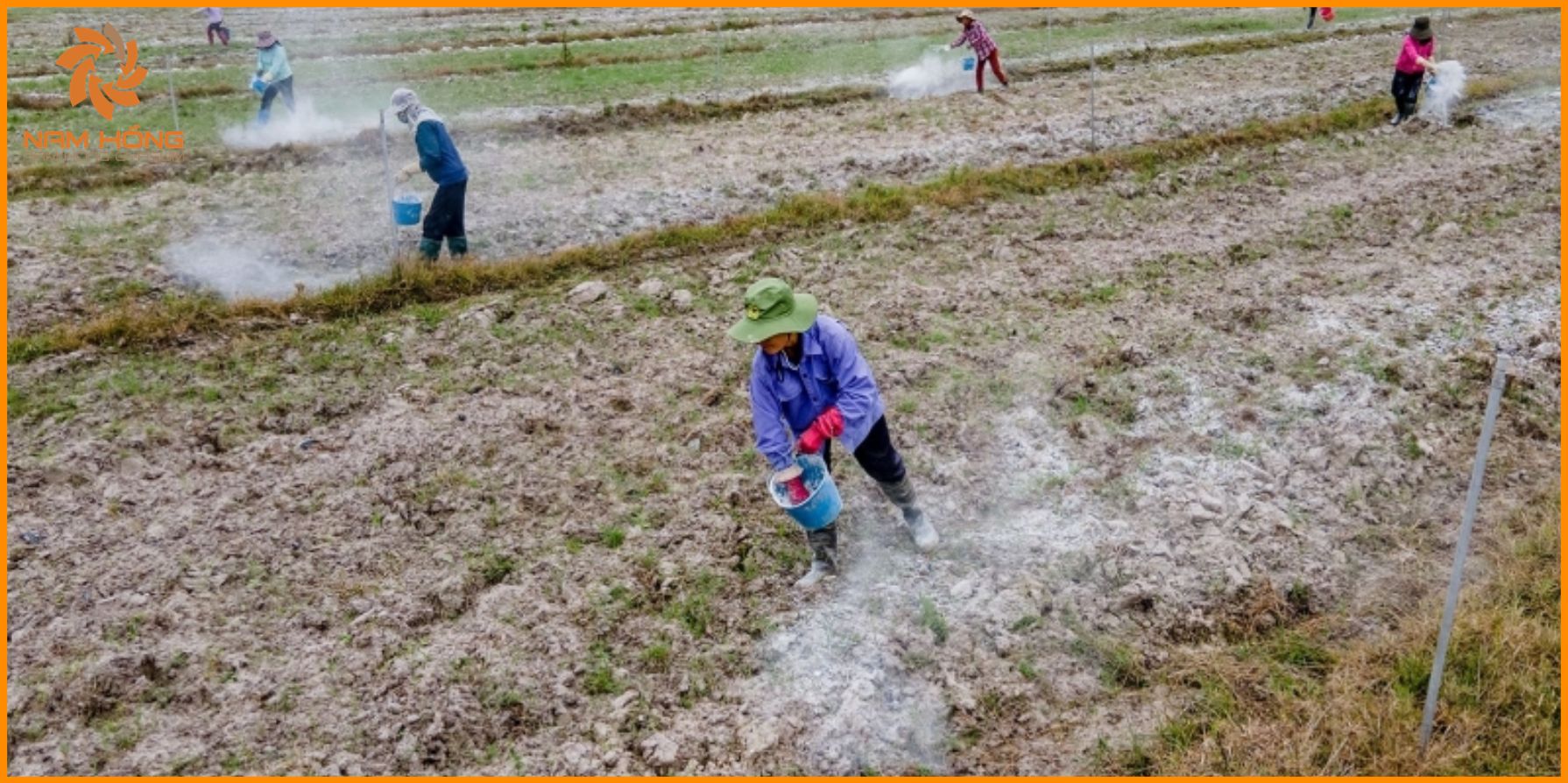 Ứng dụng của bột thạch cao trong lĩnh vực nông nghiệp