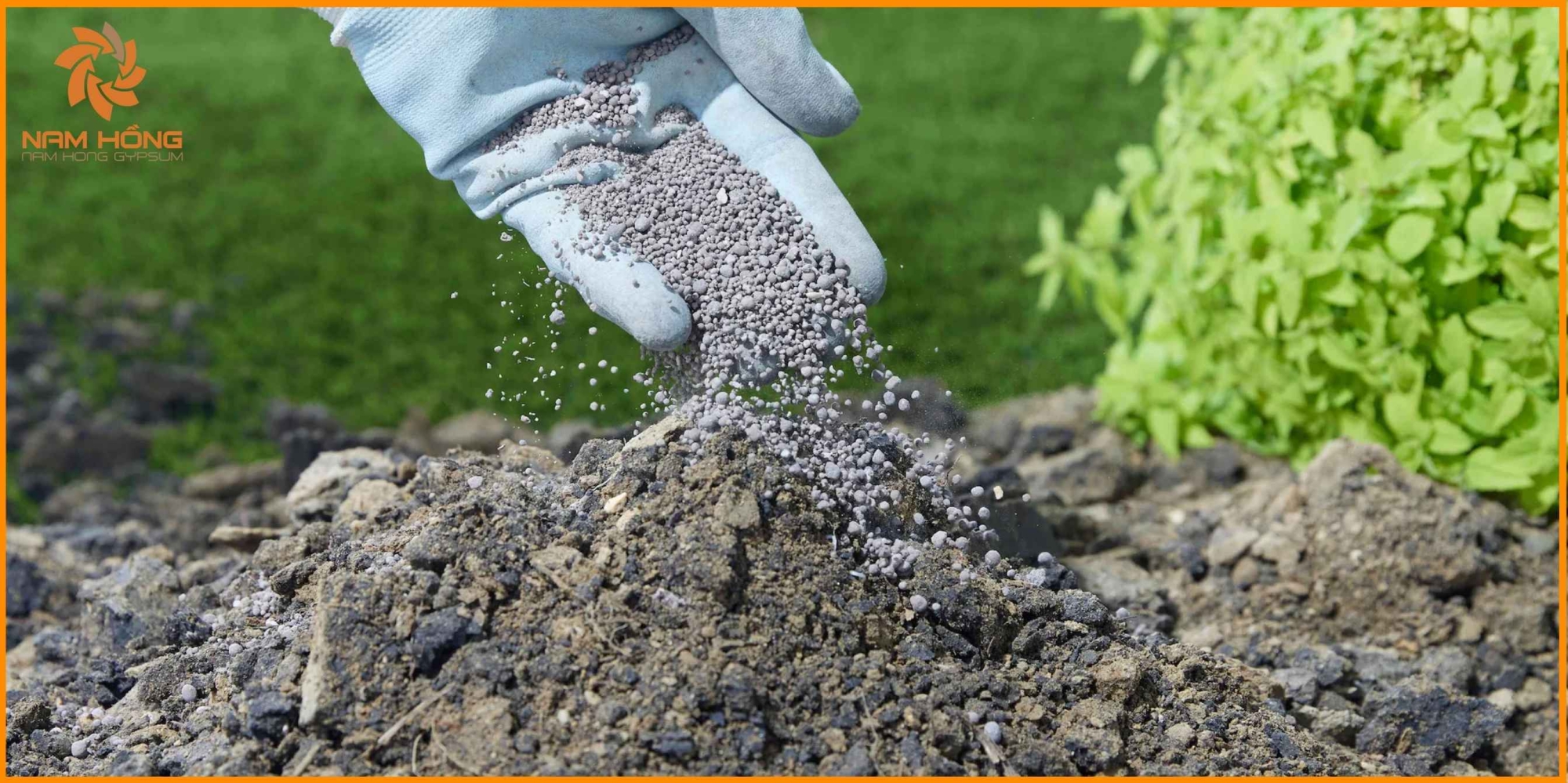 Vai trò của thạch cao trong cải thiện độ tơi xốp của đất