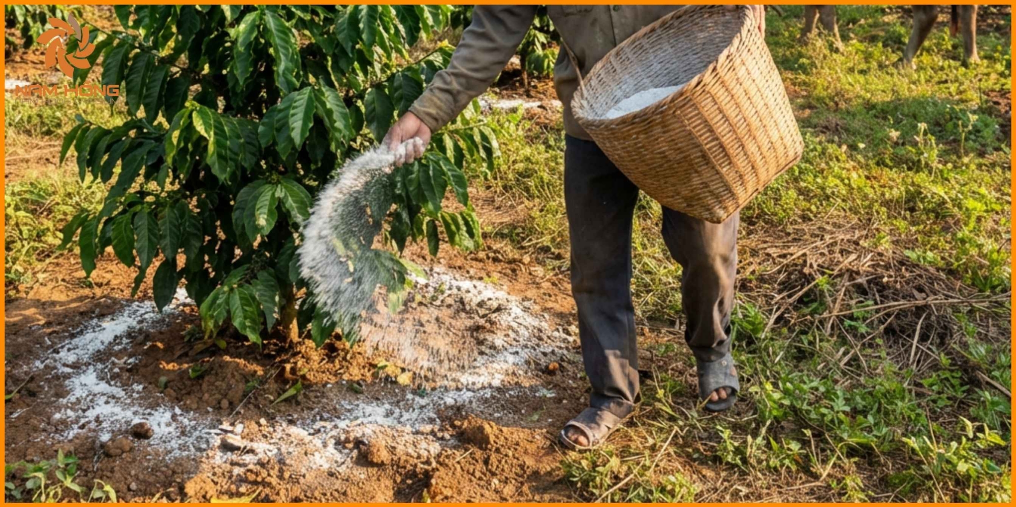 Vì sao cần xác định đúng liều lượng thạch cao cho từng loại đất?