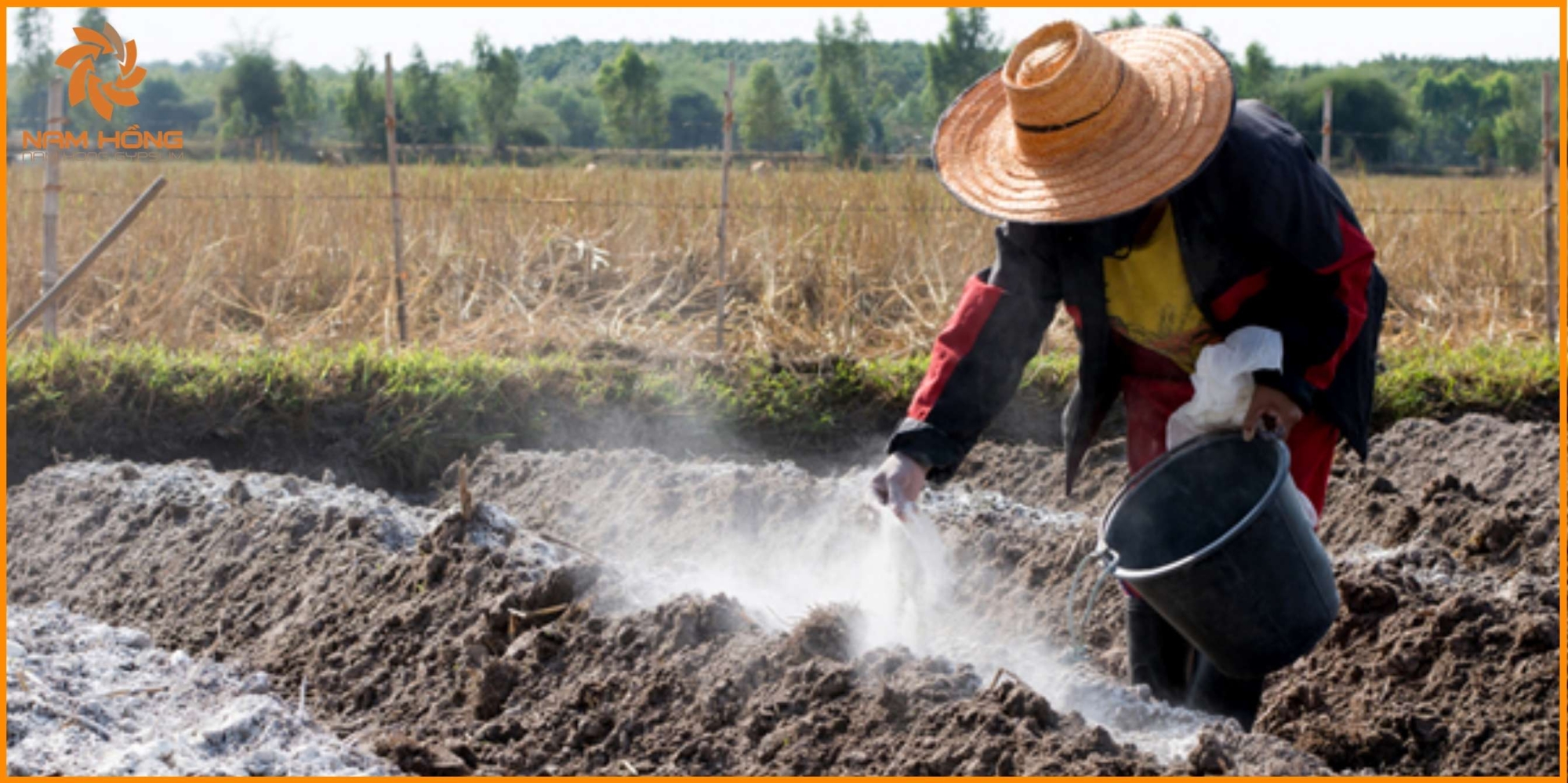 Vì sao thạch cao được sử dụng để xử lý đất phèn?